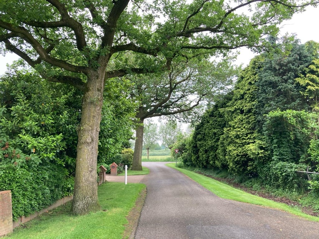 lankvelderhof (3).jpeg